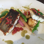 エヌイッシン - 