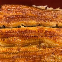 入谷鬼子母神門前のだや - 