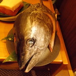 喜助 - 戸井の本鮪頭