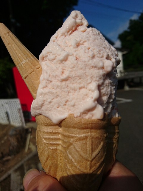 森のともだち - 小塩江（ジェラート・アイスクリーム）の写真