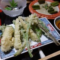 出羽屋 - 天ぷらは・・
                      わらび・うるいの花・くわだい・たけのこ・うど・紅花の歯