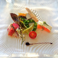DINING ROOM IN THE MAIKO - 前菜盛り合わせ