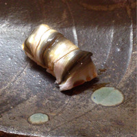 鮨松榮 - 