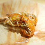 東麻布 天本 - 福岡しゃく