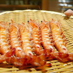 東麻布 天本 - 大分海老