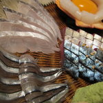 神田有薫 - 玄海さば、太刀魚、きびなご