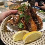 神田有薫 - 穴蝦蛄