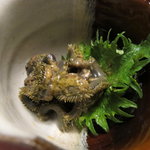 神田有薫 - わけのしんのすけ（イソギンチャク）