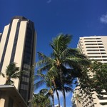 Gorilla in the Cafe - あつーーーーい