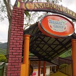 Cameron Bharat Tea Plantation - 