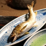 牛のよたれ (うしのよたれ) - 西武新宿/ろばた焼き | 食べログ