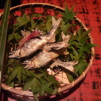 近又 - 小鮎　天然物です