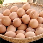 こだわり卵専門店 たまごや