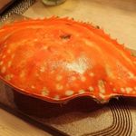 すし処 みや古分店 - 