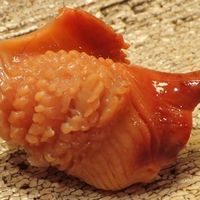 すし処 みや古分店 - 