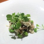 TACUBO - 鰻と空豆のリゾット