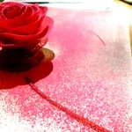 ル スプートニク - ビーツのバラ