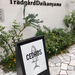 CEDROS - 