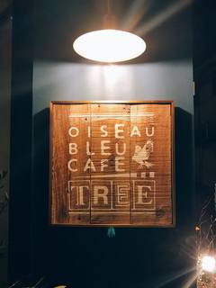 OISEAU BLEU CAFE TREE - 