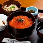 Donburi Saijiki Irohana