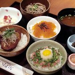 Donburi Saijiki Irohana