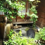 雪梅花 菜根譚 - 