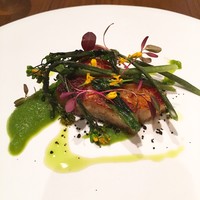 D'ORO HATSUDAI - 