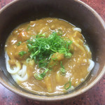 ぼりゅうむ食堂 - カレーうどん