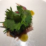 レフェルヴェソンス - 