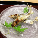 御幸町 田がわ - 焼き物　琵琶湖の稚鮎炭火焼き　蓼酢