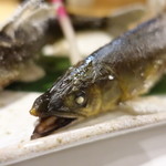 柳家錦 - 和良鮎の炭焼き二匹（一、二匹目）