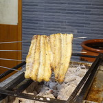 柳家錦 - 長良川上流６００ｇ超天然ウナギ