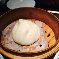 雪梅花 菜根譚 - 