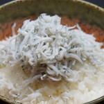 小沙丁鱼饭