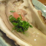 炭火焼と旬のおさかな 菜の花 - さっぱりおいしい