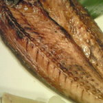 炭火焼と旬のおさかな 菜の花 - 脂ののった関鯖