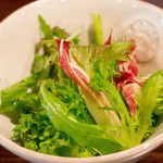 セルサルサーレ - 長野、大島農園有機野菜のサラダ　野菜の鮮度が素晴らしい、ドレッシングも良かった(*^^*)