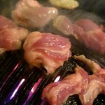 さっぽろジンギスカン千歳 - あばら焼きます