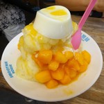 思慕昔 - ⑪マンゴーと手作りパンナコッタ雪花氷