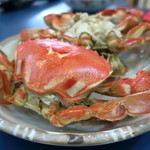 陸奥 こむらさき - エッチガニ