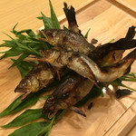 旬菜 おぐら家 - 天然鮎炭火焼き