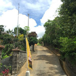 てつこのそば - 