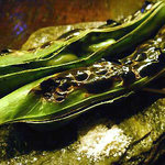 ｂａｒ 松虎 - 殻付きそら豆