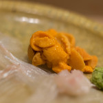 うを徳 - 利尻（りしり）の蝦夷馬糞海膽（えぞばふんうに）