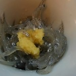 晩杯屋 - 生しらす  150円  臭みなし 美味しかったです