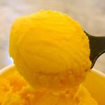 Gelato Fresco - 早速食べてみると、マンゴー果汁のフレッシュな旨味満点でメチャウマ！