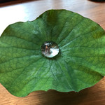 セララバアド - 