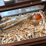 セララバアド - 