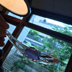 セララバアド - 