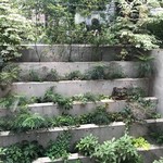 セララバアド - 